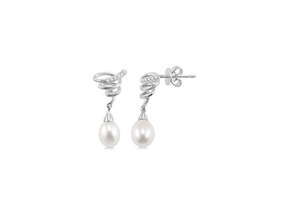 Rhodium Plated | Fashion Earrings